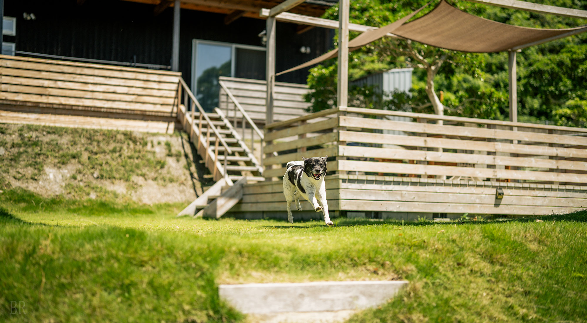 愛犬と泊まれる宿 Naruto G house +dog ドッグラン