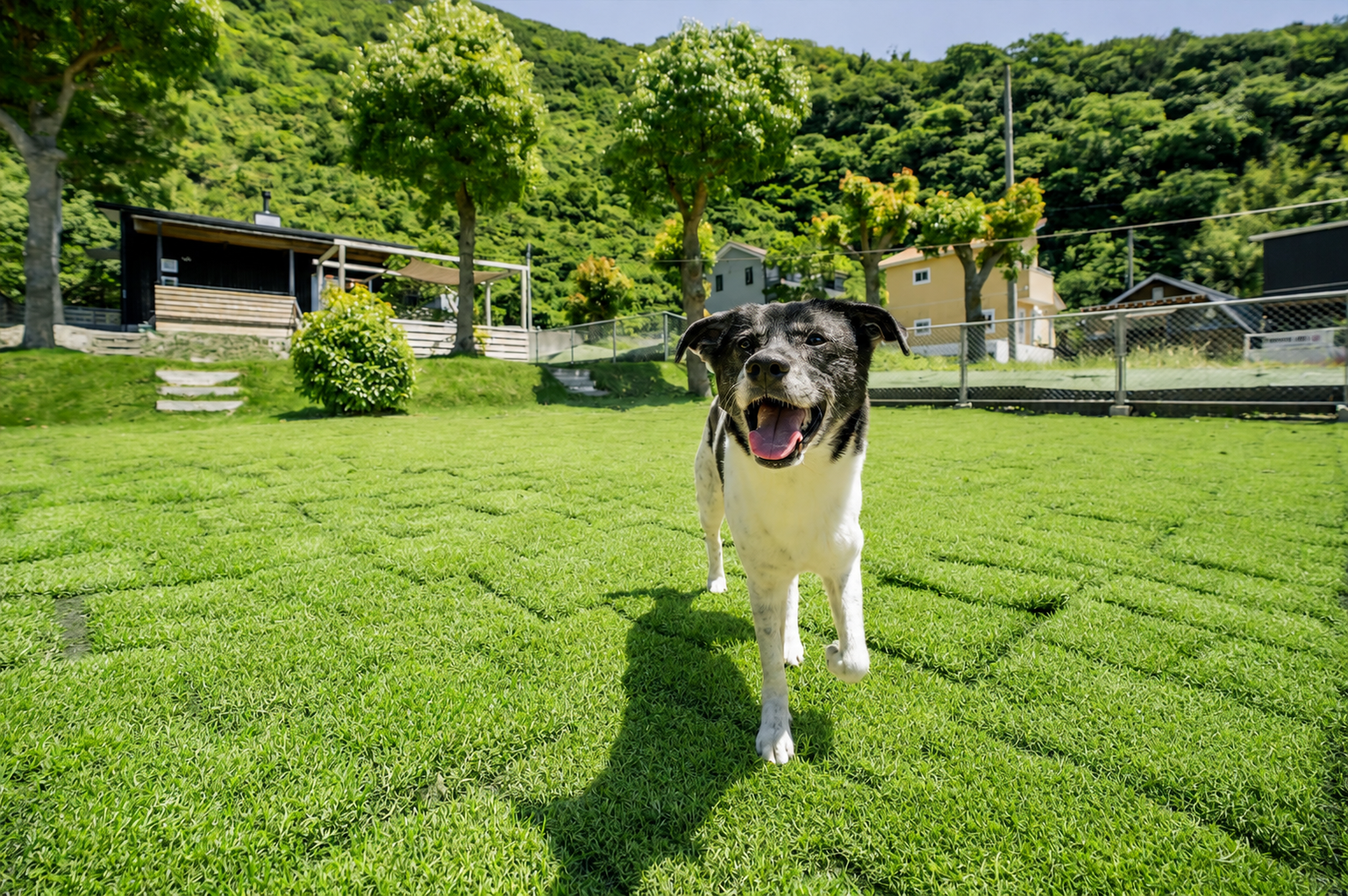 愛犬と泊まれる宿 Naruto G house +dog ドッグラン