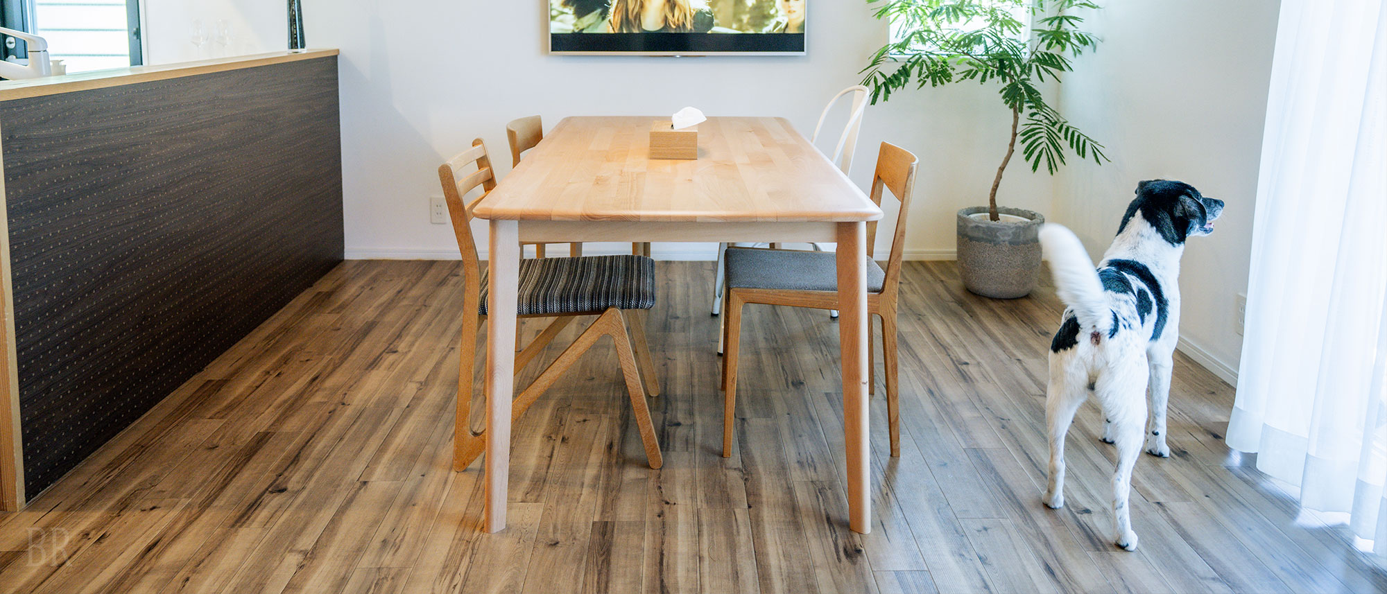 室内は滑りにくくクッション性と消臭性に優れた床材を使用